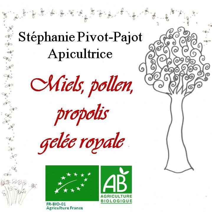Pivot-Pajot Stéphanie Pivot-Pajot Stéphanie