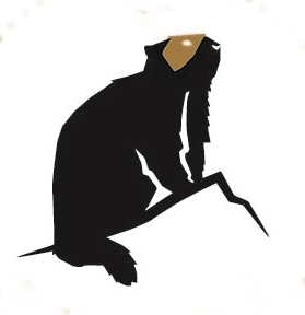 La marmotte masquée La marmotte masquée